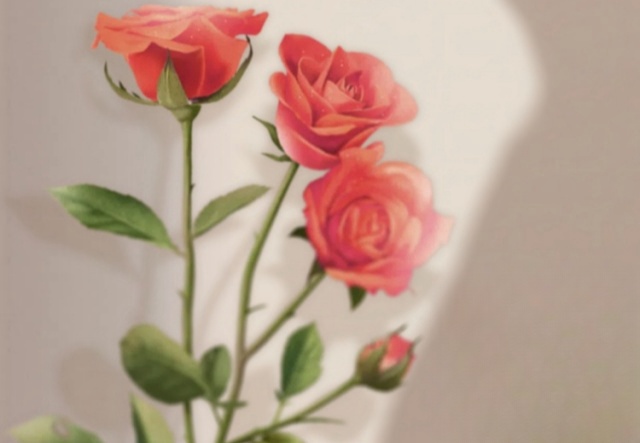 祝天下女神們節(jié)日快樂(lè)?。?！